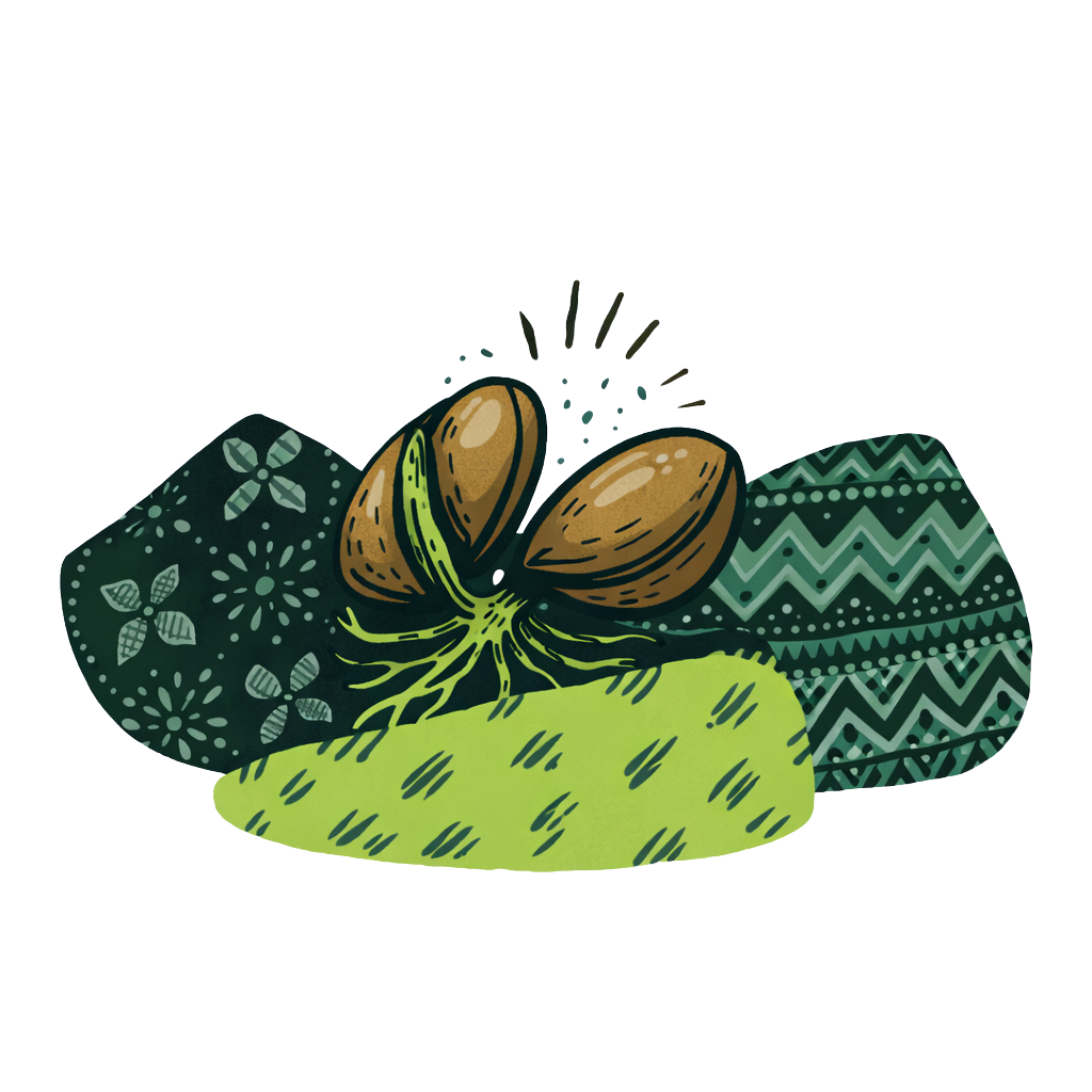 Stylized Seed Sprouting Illustration